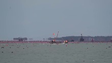 山东烟台：长岛海域出现海滋奇观