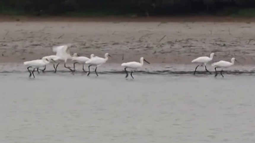 新思想引领新征程 擦亮“三高四新”美好蓝图的绿色底色