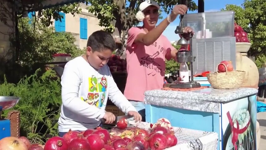 突尼斯泰斯图尔举办第七届石榴节