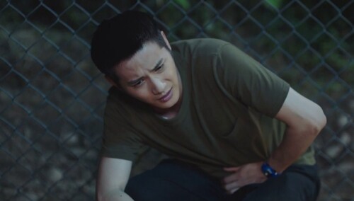 林奇半夜出溜欲翻墙 大鹅助力捉“家贼”