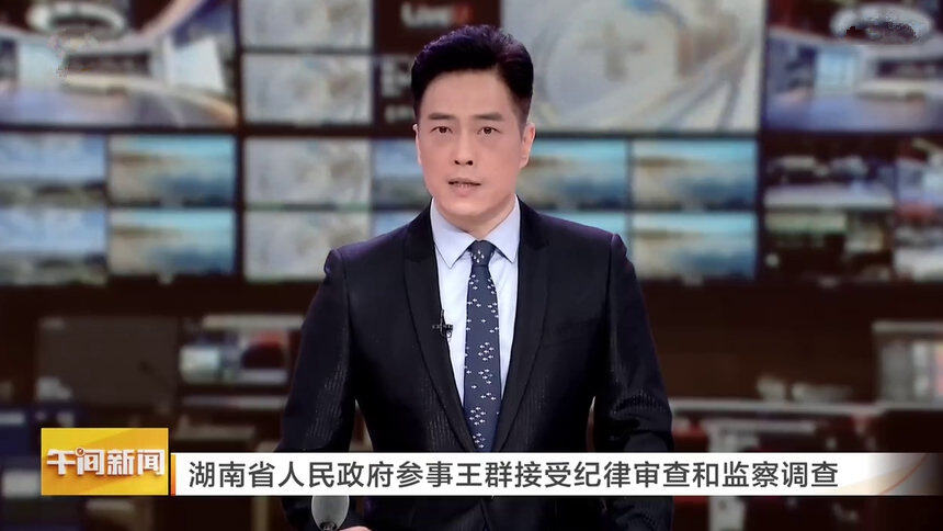 湖南省人民政府参事王群接受纪律审查和监察调查
