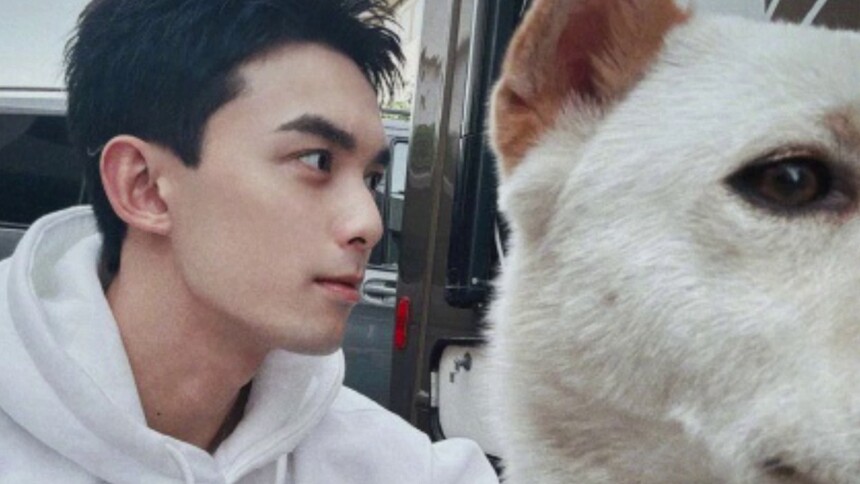 吴磊晒白色卫衣随拍 与萌犬有爱互动少年感十足