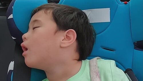 马立奥是现实版懒羊羊？车上睡觉美滋滋根本叫不醒！