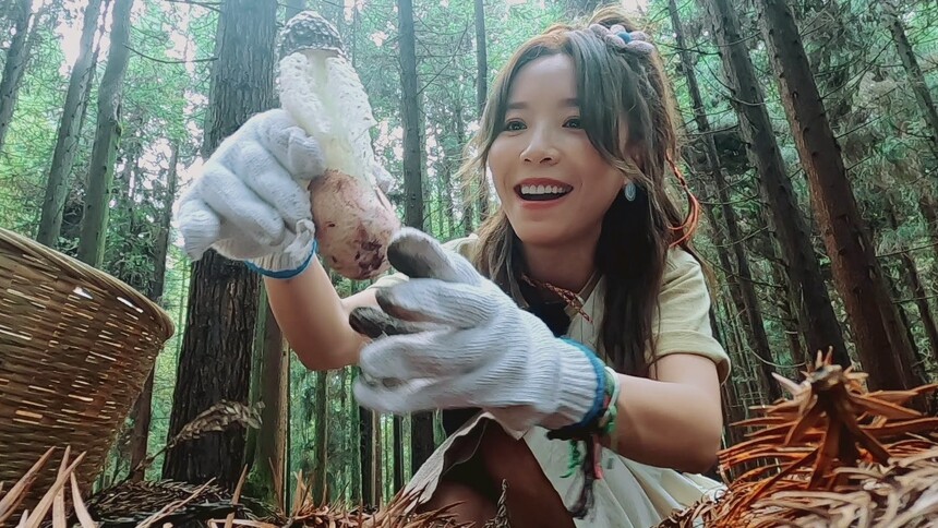 《詹姆士的厨房·旅行季》7月29日看点：詹姆士黄雅莉沉迷摘竹荪 罗拉王能能爆笑抓鸡初体验