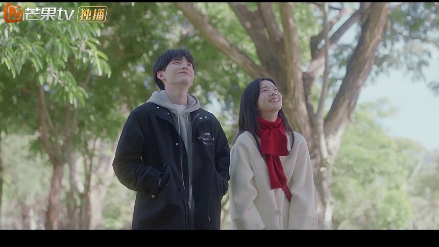 《白日梦我》倦鸟归林版预告：庄达菲周翊然青春不负相遇