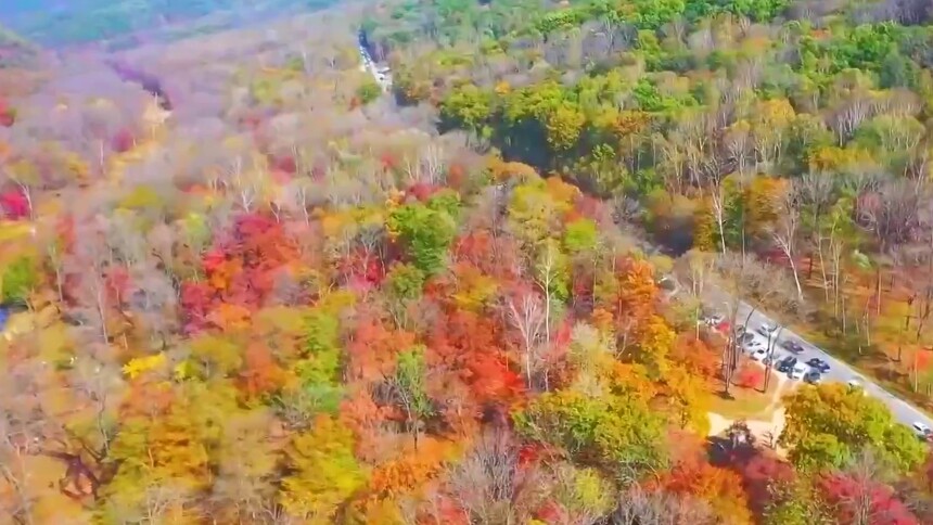 千城胜景｜吉林蛟河：“秋天童话”红叶谷