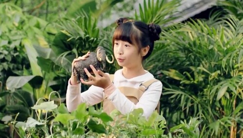 【我的家乡美 湘约马栏山】绥宁青钱柳茶