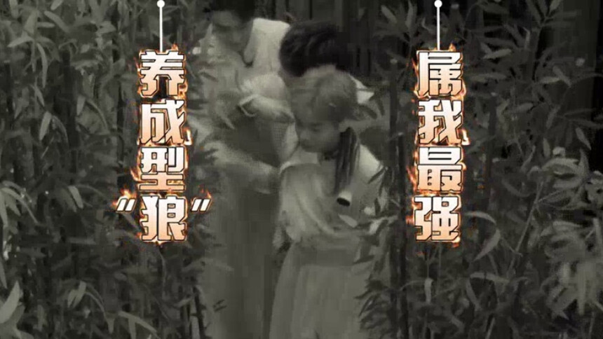 竹林迷宫惊现竹笼 彭昱畅勇抓NPC！