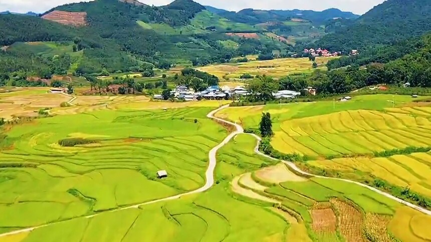 线小晃与她的“贡米梦”