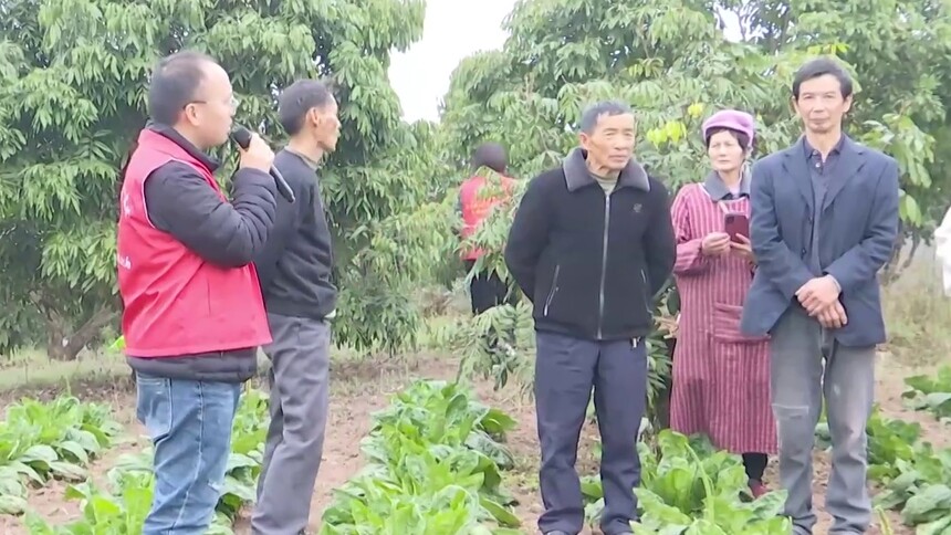 四川泸县：培训进果园 实操助增收