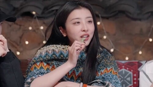 赵小棠是甄嬛传十级学者