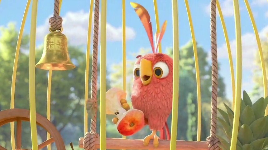 艾瑞斯鹦鹉上演美食大作战