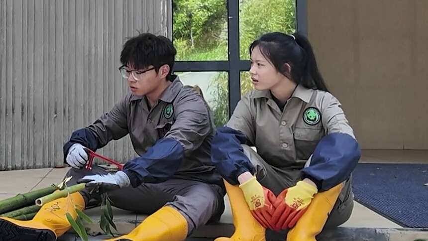 《熊猫一家人》7月21日看点：2组实习生迎来新代教老师状况频出？ 贤贤崽现场表演掀盆盆奶