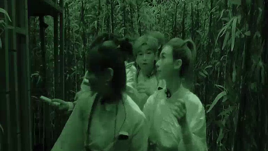 《密室大逃脱 第六季》8月29日看点：特调小队竹林迷宫遭偷袭？吴谨言文俊辉新人坦度拉满
