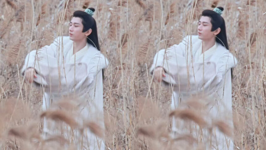 活力满满！成毅《长安二十四计》芦苇丛玩耍路透