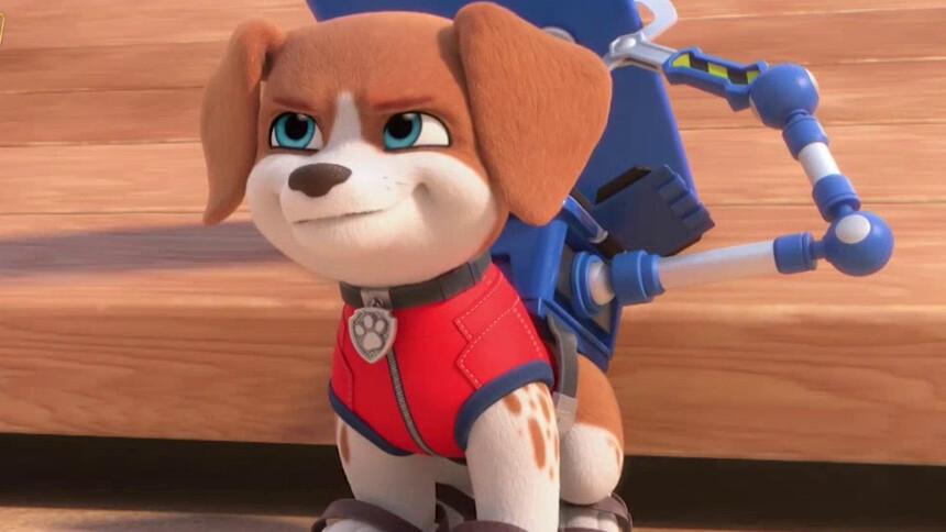 【机灵狗狗米丝】沙滩烫烫烫 快来试试冲浪桥吧