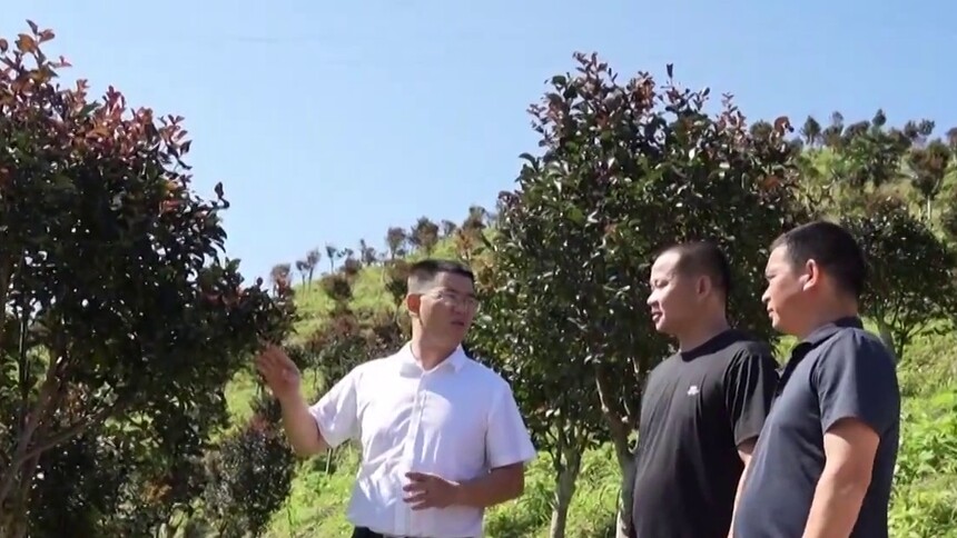 驻村一线显担当 李磊：“驻村”更“助村” 实干促振兴
