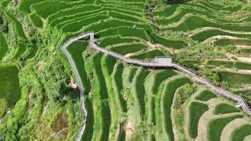 福地怀化 清凉一夏 花瑶梯田变身避暑新名片