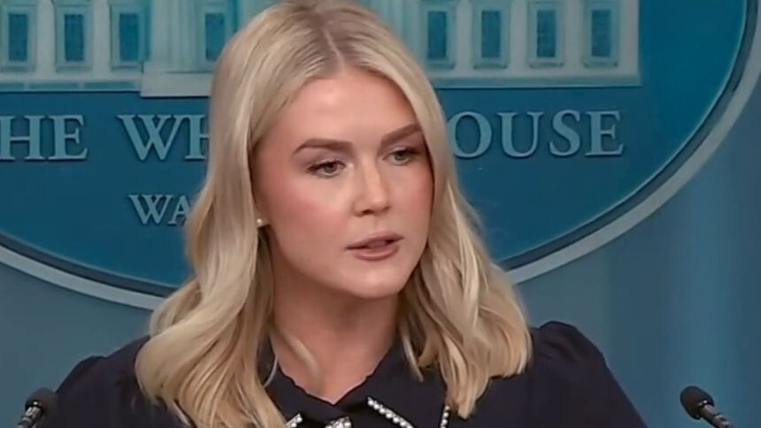 白宫称特朗普将在阿拉斯加会晤中“倾听”