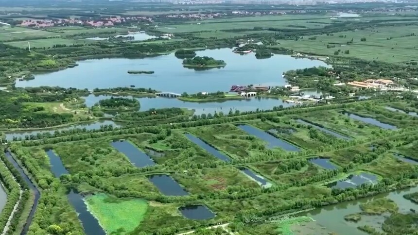 山东马踏湖：十年治水重现生态美景