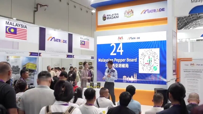 全球连线｜他们合作的故事始于东博会
