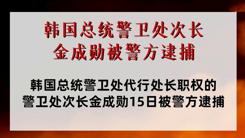 韩国总统警卫处次长金成勋被警方逮捕
