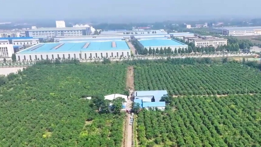 千城胜景｜金秋紫枣飘香满园