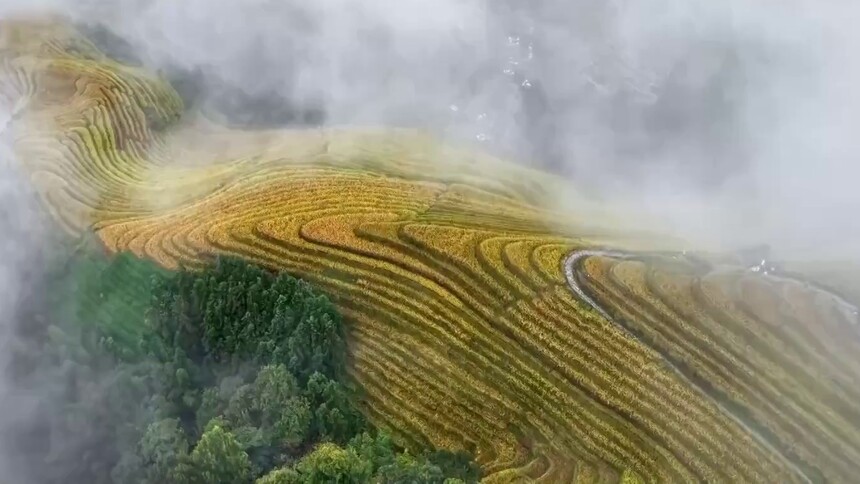 广西龙胜：雨后梯田别样美