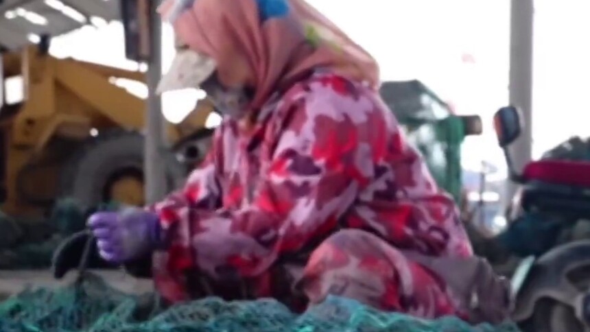 秀我中国 | 山东长岛牡蛎忙装笼 期盼来年好收成