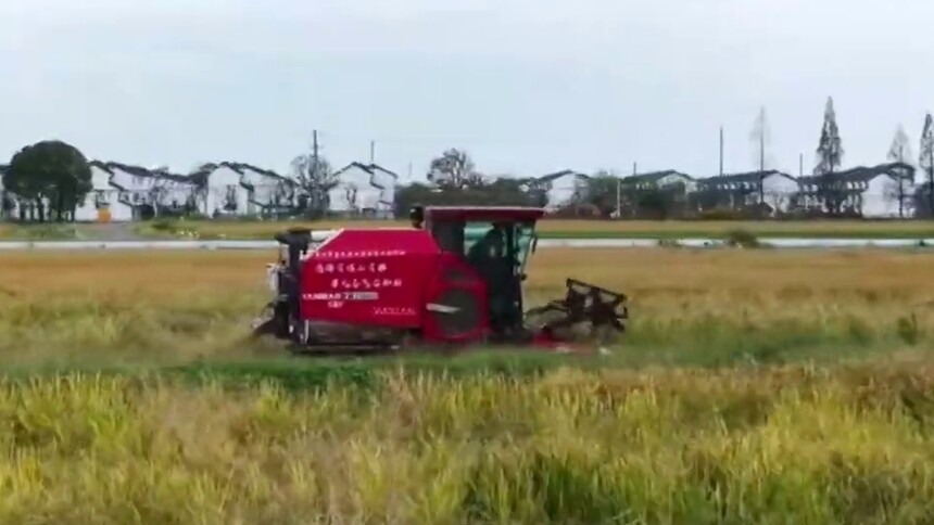 江苏常州：金秋时节收稻忙