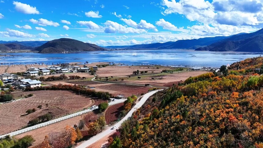 云南香格里拉：120余只黑颈鹤飞抵纳帕海 开启候鸟越冬迁徙季