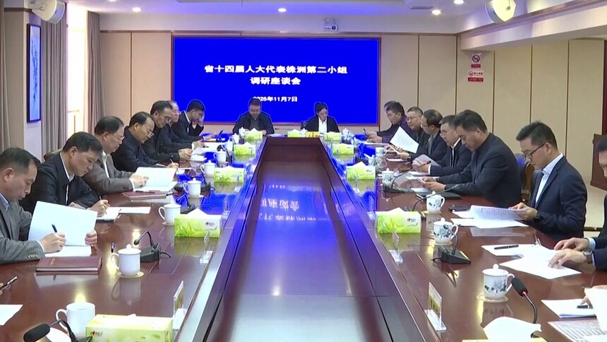 张剑飞参加省十四届人大代表株洲第二小组活动
