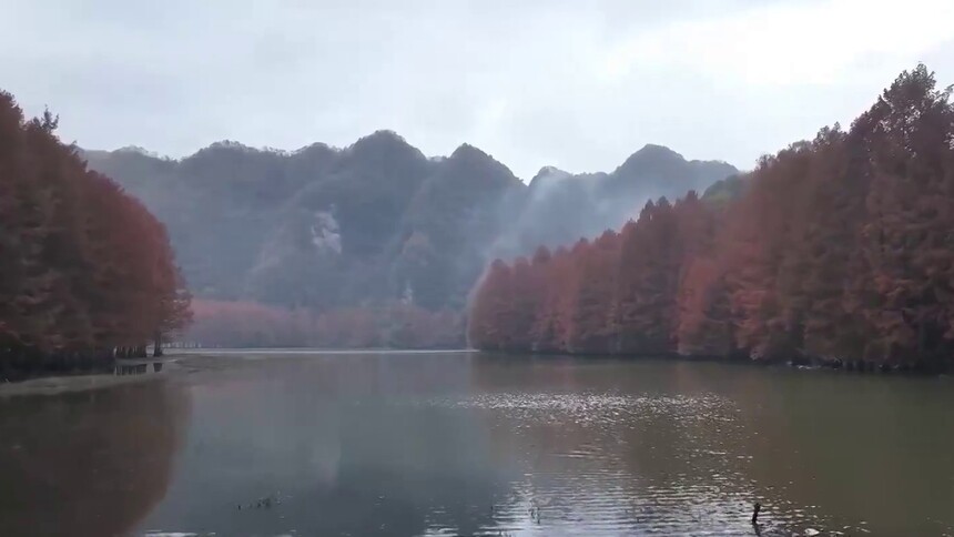巴山冬景 绚丽如画