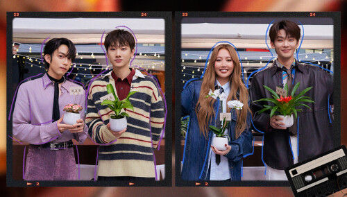  声生不息·华流季 超前营业