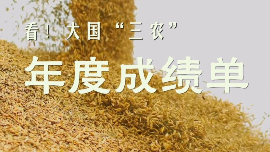 看！大国“三农”年度成绩单