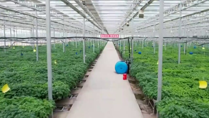 甘肃民乐：“甘霖”润沃土 民营经济绽春芳