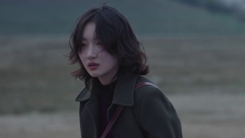李斐庄树重逢回忆过往