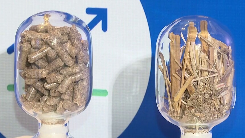 反击“霸凌”关税 湖南有招 洞庭湖边一根草 闯进新能源新赛道