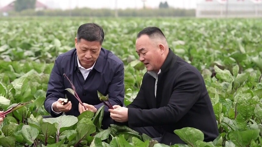 担当作为开新局 带头拼命干 干出“新实绩”——记“全省担当作为优秀干部”王先波