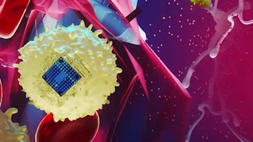 可注射的脑机接口能治疗哪些疾病？