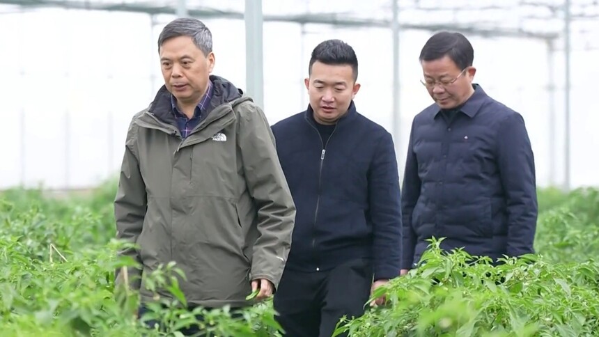 担当作为开新局 坚守初心担使命 深耕三农践担当——记“全省担当作为优秀干部”李稳香