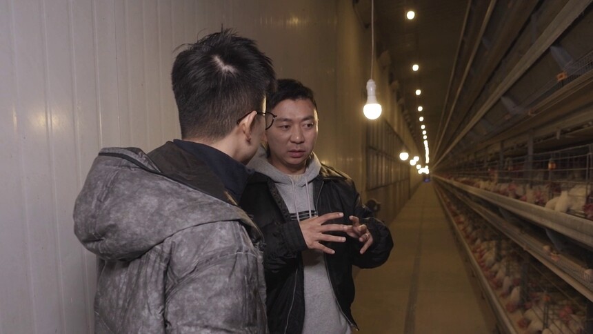 雷雨带董凡铭参观鸡舍