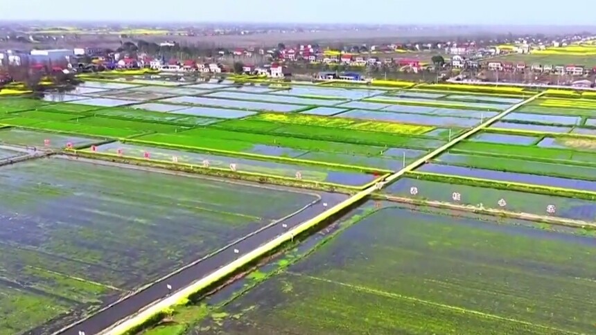 湖南“十五五”规划广纳众智：倾听民声 温暖人心