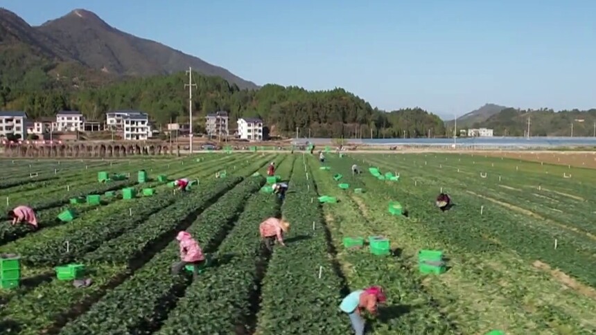 湖南“十五五”规划广纳众智：倾听民声 温暖人心