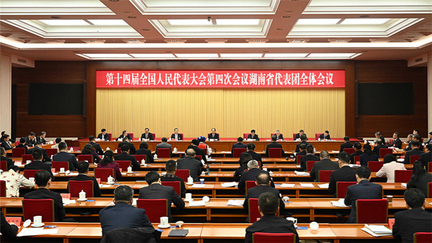 湖南代表团举行第二次全体会议 审议政府工作报告 石泰峰 何维 张庆伟参加审议 沈晓明主持 毛伟明参加