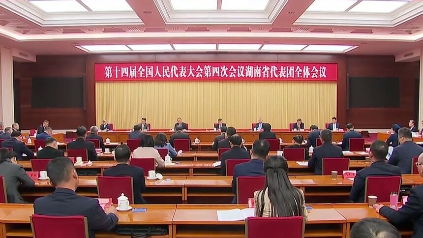 湖南代表团举行第三次全体会议和分组会议