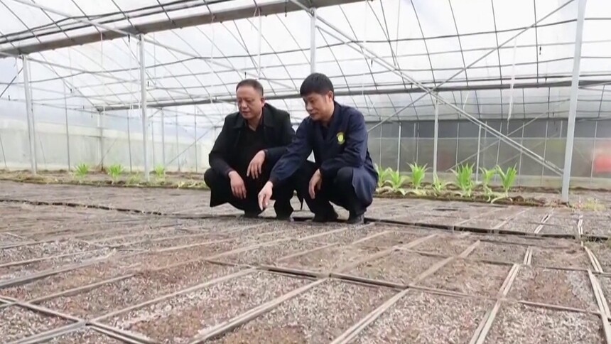 李敦贵：从“门外汉”到“田保姆”