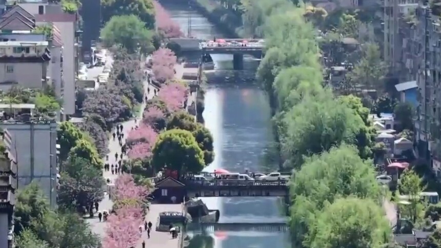 贵州钟山：踏青赏樱正当时