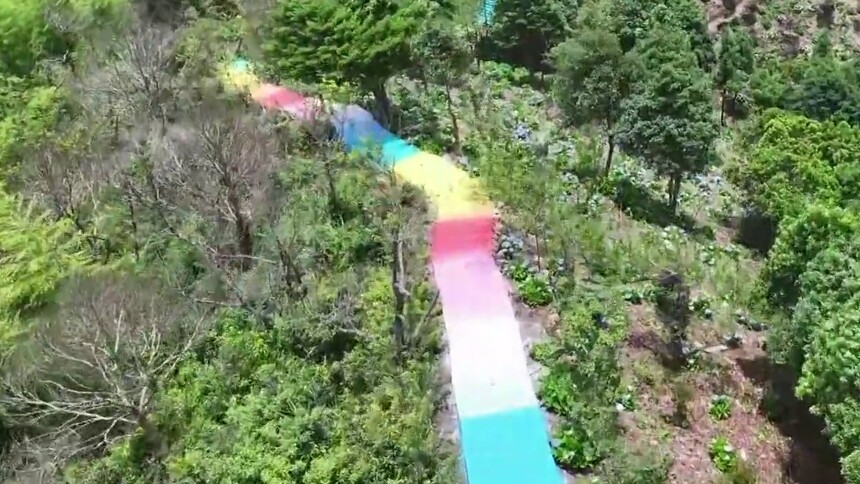 千城百县看中国·赏花季｜福建华安：绣球花开映山乡