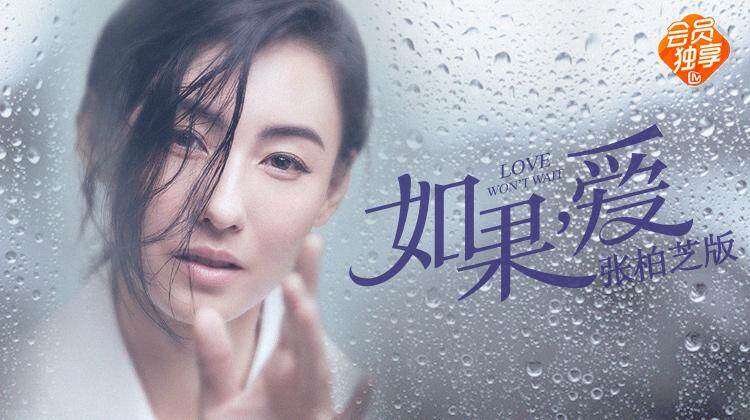 如果爱 张柏芝版